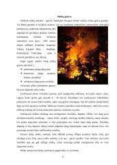 Miškų gaisrai 4 puslapis