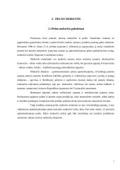 Mokesčių reformos įtaka įmonių veiklos rezultatams 4 puslapis