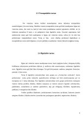 Mokesčių reformos įtaka įmonių veiklos rezultatams 6 puslapis