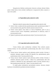 Mokesčių reformos įtaka įmonių veiklos rezultatams 7 puslapis