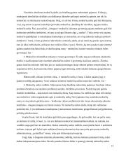 Mokesčių sistema Lietuvoje 13 puslapis