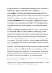 Ląstelės ciklas ir naujų ląstelių susidarymas 6 puslapis