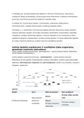 Ląstelės ciklas ir naujų ląstelių susidarymas 7 puslapis