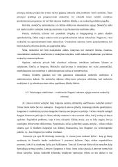 Mokesčių sistemos formavimo ypatumai ir tobulinimo kryptys 13 puslapis