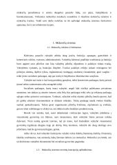 Mokesčių sistemos formavimo ypatumai ir tobulinimo kryptys 4 puslapis