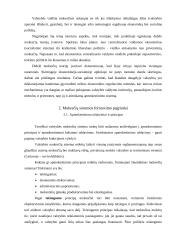 Mokesčių sistemos formavimo ypatumai ir tobulinimo kryptys 6 puslapis