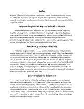 Nelytinis ir lytinis dauginimasis referatas 2 puslapis