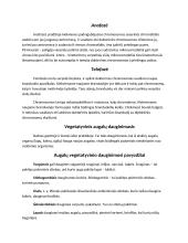 Nelytinis ir lytinis dauginimasis referatas 4 puslapis