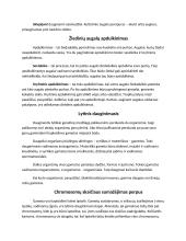 Nelytinis ir lytinis dauginimasis referatas 5 puslapis