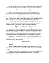 Nelytinis ir lytinis dauginimasis referatas 6 puslapis