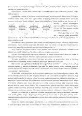 Fizikos egzamino teorinė medžiaga 12 puslapis