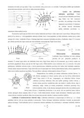 Fizikos egzamino teorinė medžiaga 13 puslapis