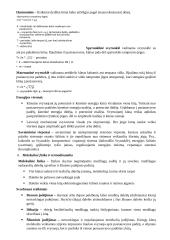 Fizikiniai matavimai, aprašymai 4 puslapis