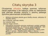 Citatų skyrybos taisyklės 7 puslapis