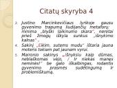 Citatų skyrybos taisyklės 9 puslapis