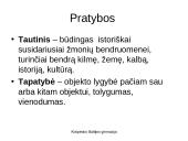 Samprotavimo rašinio įžangos kūrimas (pristatymas) 16 puslapis