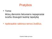 Samprotavimo rašinio įžangos kūrimas (pristatymas) 9 puslapis