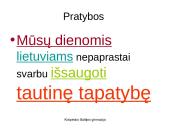 Samprotavimo rašinio įžangos kūrimas (pristatymas) 10 puslapis