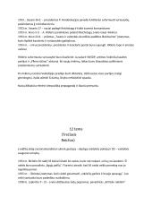 Paryžiaus taikos konferencija ir politiniai pasikeitimai Europoje 11 puslapis