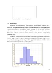 Mokslinės literatūros pateikimas raštu 13 puslapis