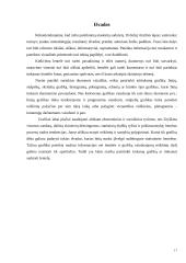 Mokslinės literatūros pateikimas raštu 17 puslapis