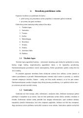 Mokslinės literatūros pateikimas raštu 3 puslapis