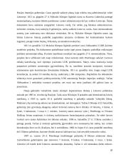 Lietuvos istorija - labai išsamus 19 puslapis