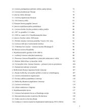 Lietuvos istorija - labai išsamus 2 puslapis