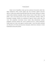 Lietuvos istorija - labai išsamus 8 puslapis