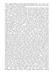 Istorija: naujieji laikai 20 puslapis