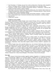 Istorija: pirmas pasaulinis karas 5 puslapis