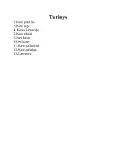 Pirmasis pasaulinis karas referatas 2 puslapis