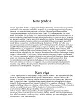 Pirmasis pasaulinis karas referatas 3 puslapis