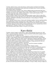 Pirmasis pasaulinis karas referatas 5 puslapis