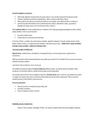 Šaltojo karo teorinė medžiaga 2 puslapis