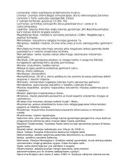 Istorijos sąvokų sąrašas 6 puslapis