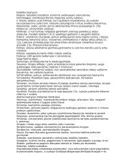 Istorijos sąvokų sąrašas 8 puslapis