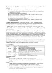 ATR politinis smukimas ir žlugimas XVII-XVIII amžiuje 3 puslapis