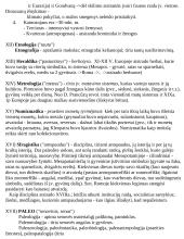 Civilizacijų istorija - teorinė medžiaga 11 puslapis