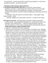 Civilizacijų istorija - teorinė medžiaga 13 puslapis