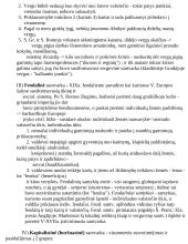 Civilizacijų istorija - teorinė medžiaga 14 puslapis