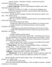 Civilizacijų istorija - teorinė medžiaga 16 puslapis