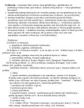 Civilizacijų istorija - teorinė medžiaga 18 puslapis