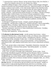 Civilizacijų istorija - teorinė medžiaga 20 puslapis