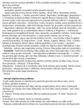 Civilizacijų istorija - teorinė medžiaga 4 puslapis