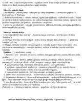 Civilizacijų istorija - teorinė medžiaga 5 puslapis