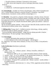 Civilizacijų istorija - teorinė medžiaga 7 puslapis