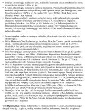 Civilizacijų istorija - teorinė medžiaga 9 puslapis