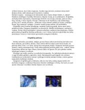 Moliuskų klasės 4 puslapis