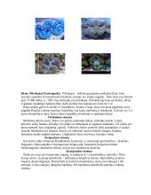 Moliuskų klasės 5 puslapis